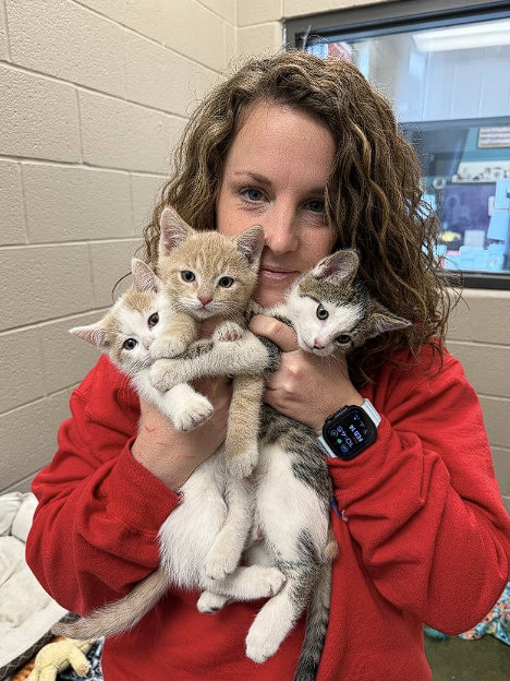 Katherine Hughes – Adoption Coordinator